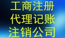 潍坊爆料最新新闻消息,聚焦城市动态与民生焦点