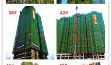 衡阳楼市最新爆料新闻,最新爆料揭示市场新动向